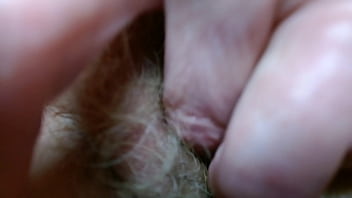 Dawnskye1962 update #140 1297 tiny escaped again but i found him oct 05 2025