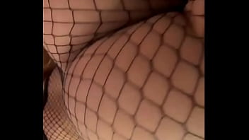 Hola update #332 2024 11 01t02 08 54 000z