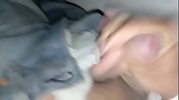 Pañal de tela orinado y casi mojado por completo