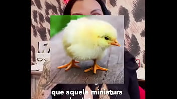 Disponível thumbnail