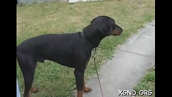 Luxurious young minx mandy coitus in porno