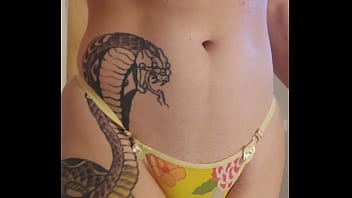 Vídeo de verificação