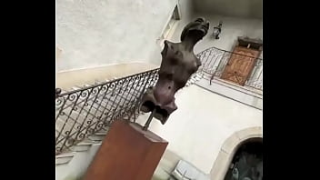 In switzerland at the giga museum what’s the coolest museum you’ve ever visited #gigamuseum #swissadvent