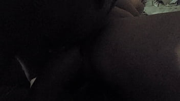 Сучке отлизали