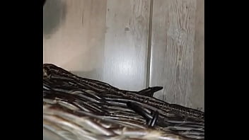 She sucked my cock and fingered her pussy