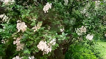 2014 06 23 adayn summer colors