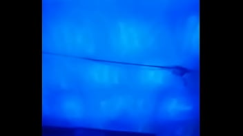 Lo que porota prococo a shypi