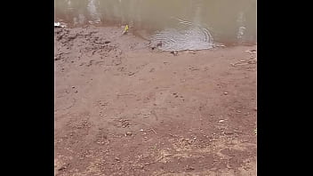 Fteeverification video