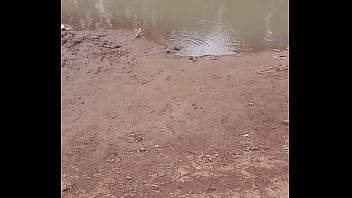 Fteeverification video