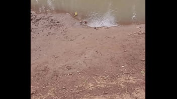 Fteeverification video