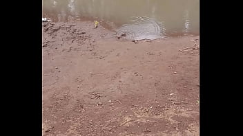 Fteeverification video