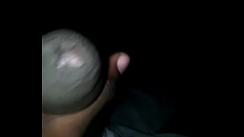 Stiff Yardy Cocky thumbnail