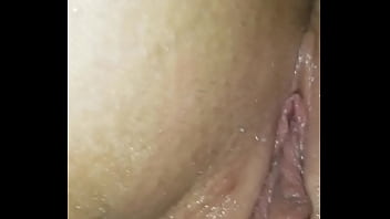 Project bright light beaver hd