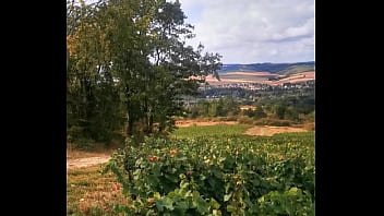 Les vendanges au soleil sont très excitantes va découvrir ma vidéo intégrale