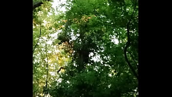 2025 05 01 esclave f la salope en foret