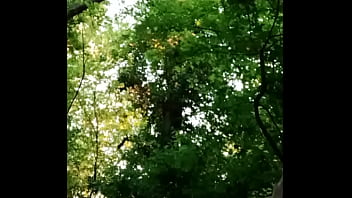 2025 05 01 esclave f la salope en foret