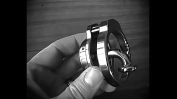 Chastity steel pa locked piercing albert