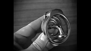 Chastity steel pa locked piercing albert