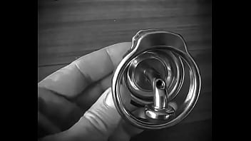 Chastity steel pa locked piercing albert