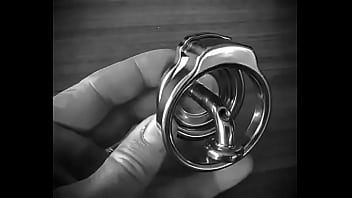 Chastity steel pa locked piercing albert