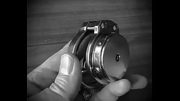 Chastity steel pa locked piercing albert