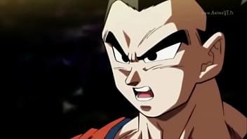 Nopor de dragón ball super gohan