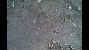 Video bokep part 604558