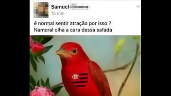 Gozará thumbnail