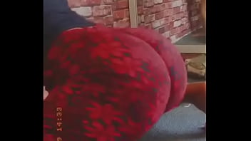 Asses