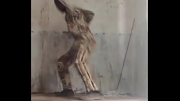 Almost broke someone's face today my phone