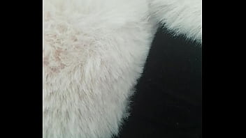 Pedrocaekevsoxeksovsv