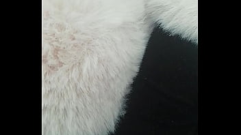 Pedrocaekevsoxeksovsv