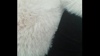 Pedrocaekevsoxeksovsv