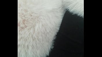 Pedrocaekevsoxeksovsv