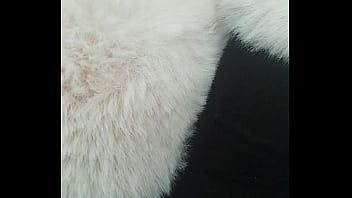 Pedrocaekevsoxeksovsv