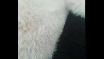 Pedrocaekevsoxeksovsv