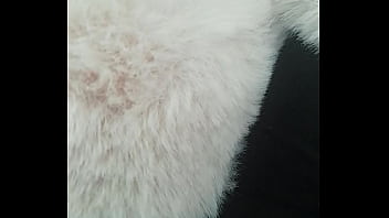 Pedrocaekevsoxeksovsv