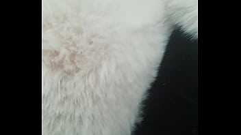 Pedrocaekevsoxeksovsv