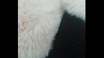 Pedrocaekevsoxeksovsv