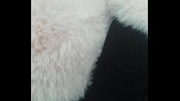 Pedrocaekevsoxeksovsv