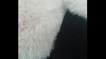 Pedrocaekevsoxeksovsv