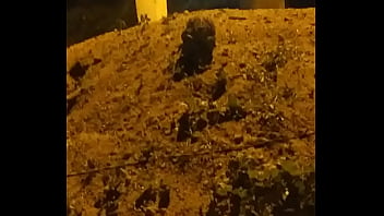 Video bokep part 73666283