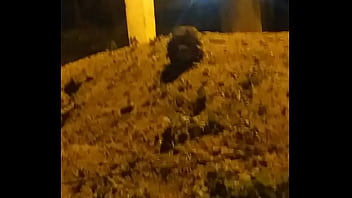 Video bokep part 73666283