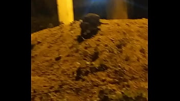 Video bokep part 73666283