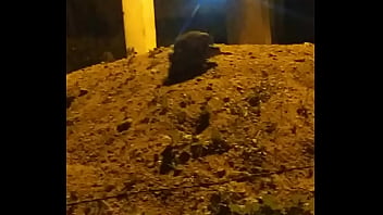 Video bokep part 73666283