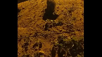 Video bokep part 73666283