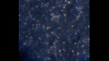 Examen de mis nadadores semen