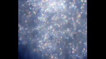 Examen de mis nadadores semen