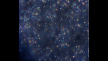 Examen de mis nadadores semen