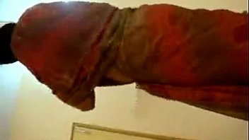 Shimale Trans thumbnail